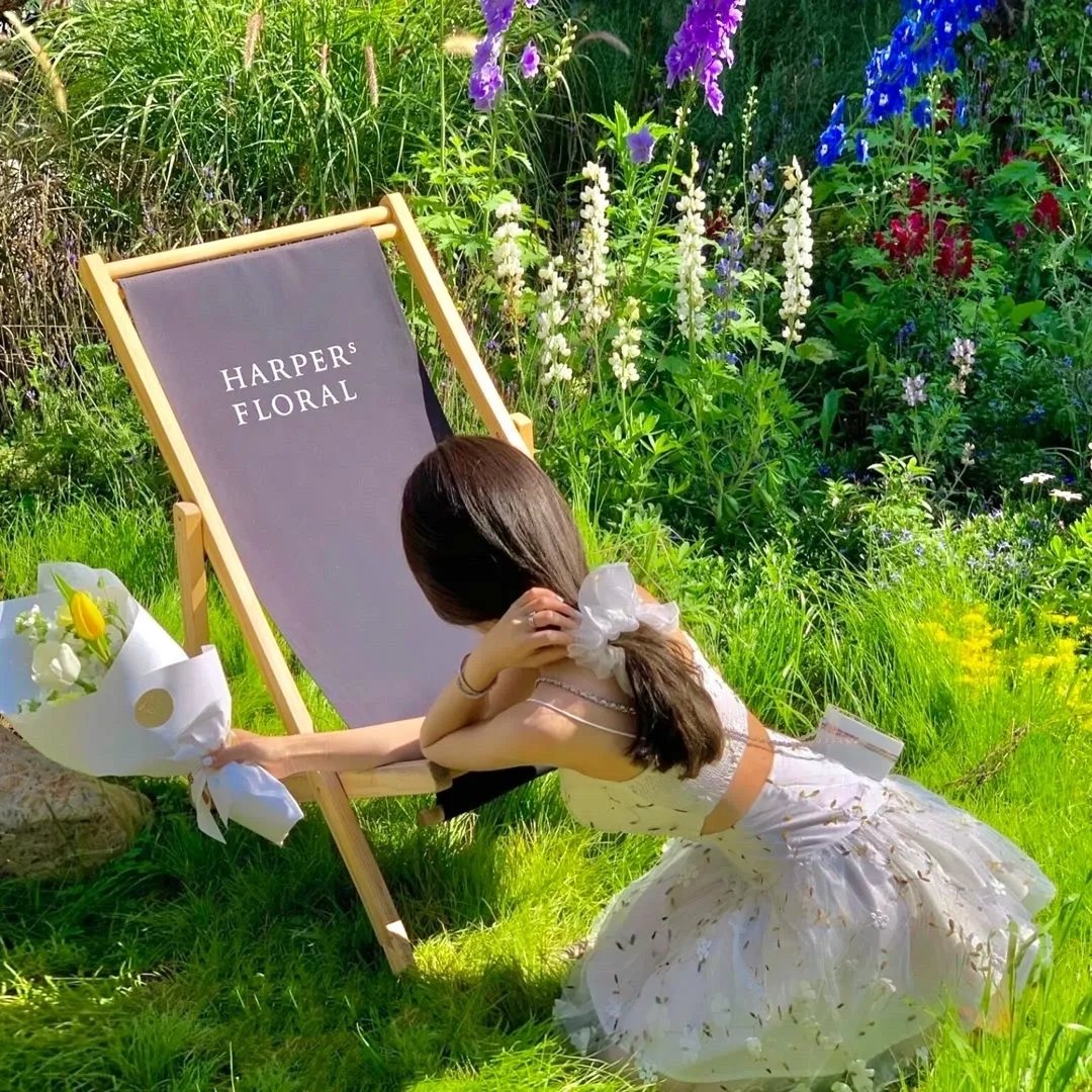 一念向北之危险关系