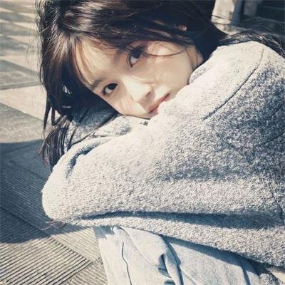 陆总你的白月光是落魄美人